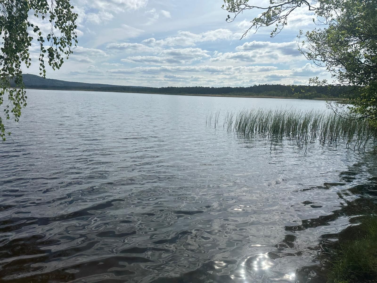 © SEB Leipzig Blick auf den See.