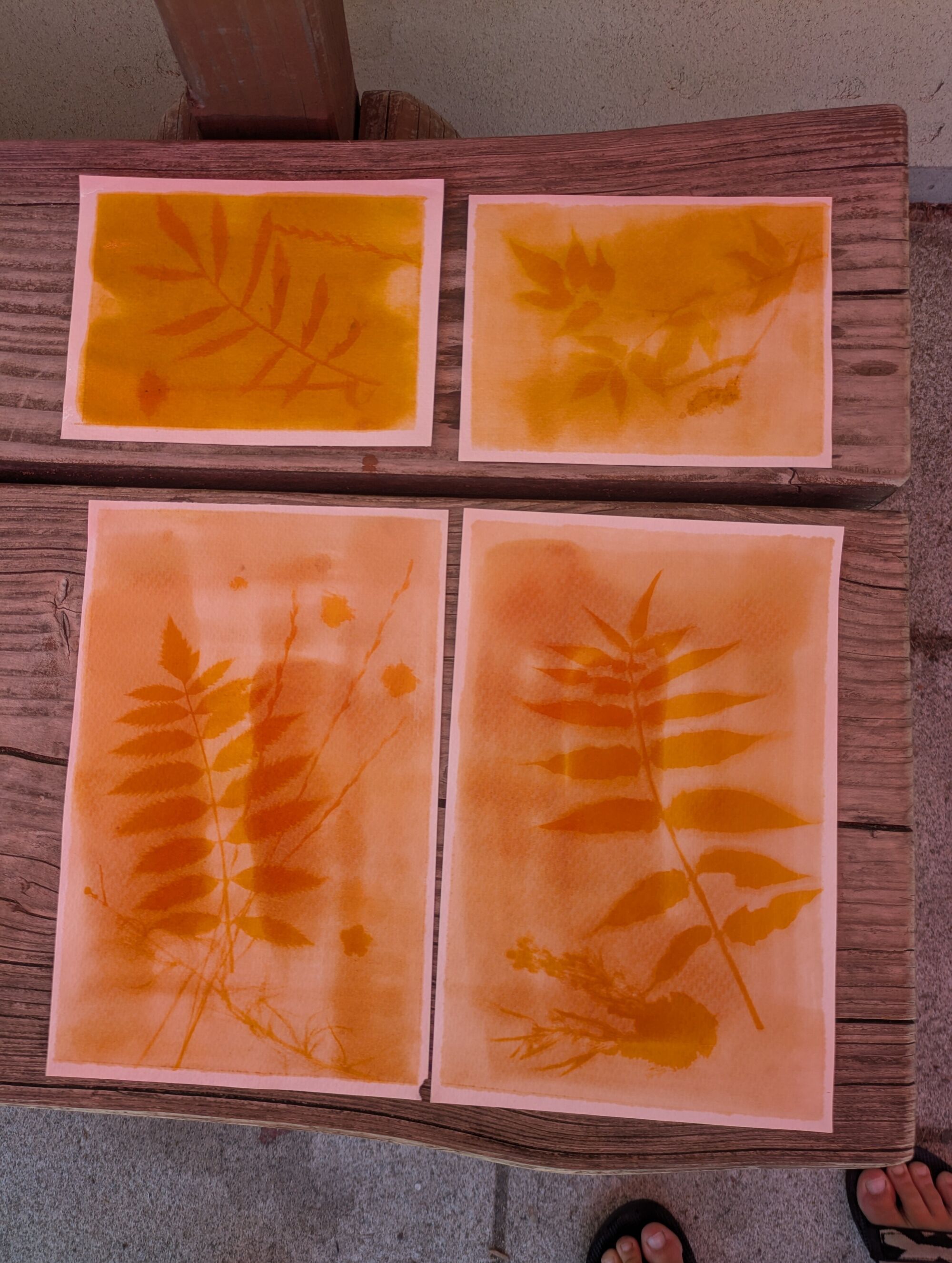 gelbe Papiere mit gedruckten Pflanzen