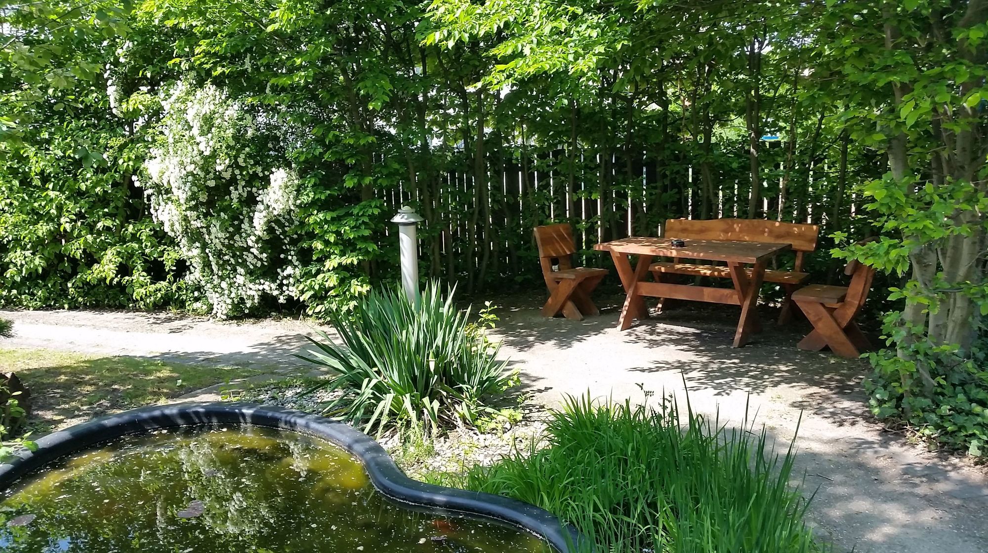 Ein kleiner Teich mit einer Sitzgelegenheit unter Bäumen.