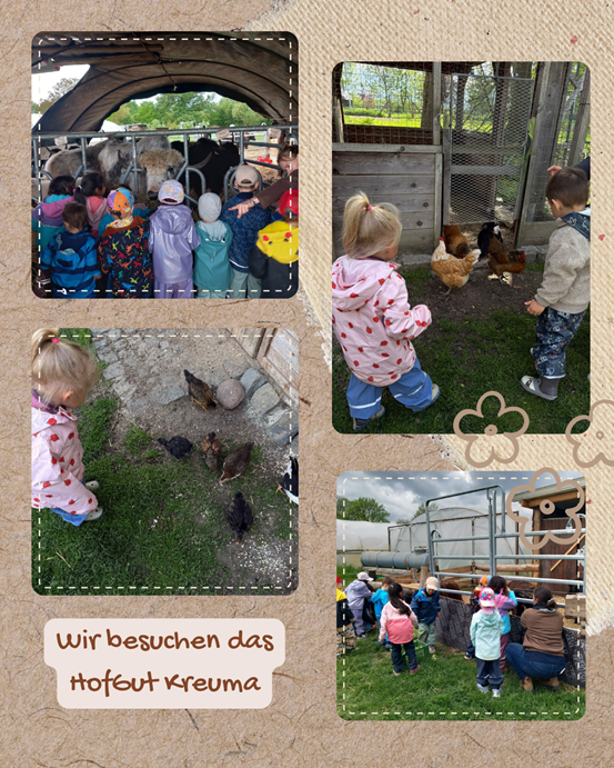 Eine Bildcollage mit Fotos der Kinder bei H&uuml;hnern und K&auml;lbchen