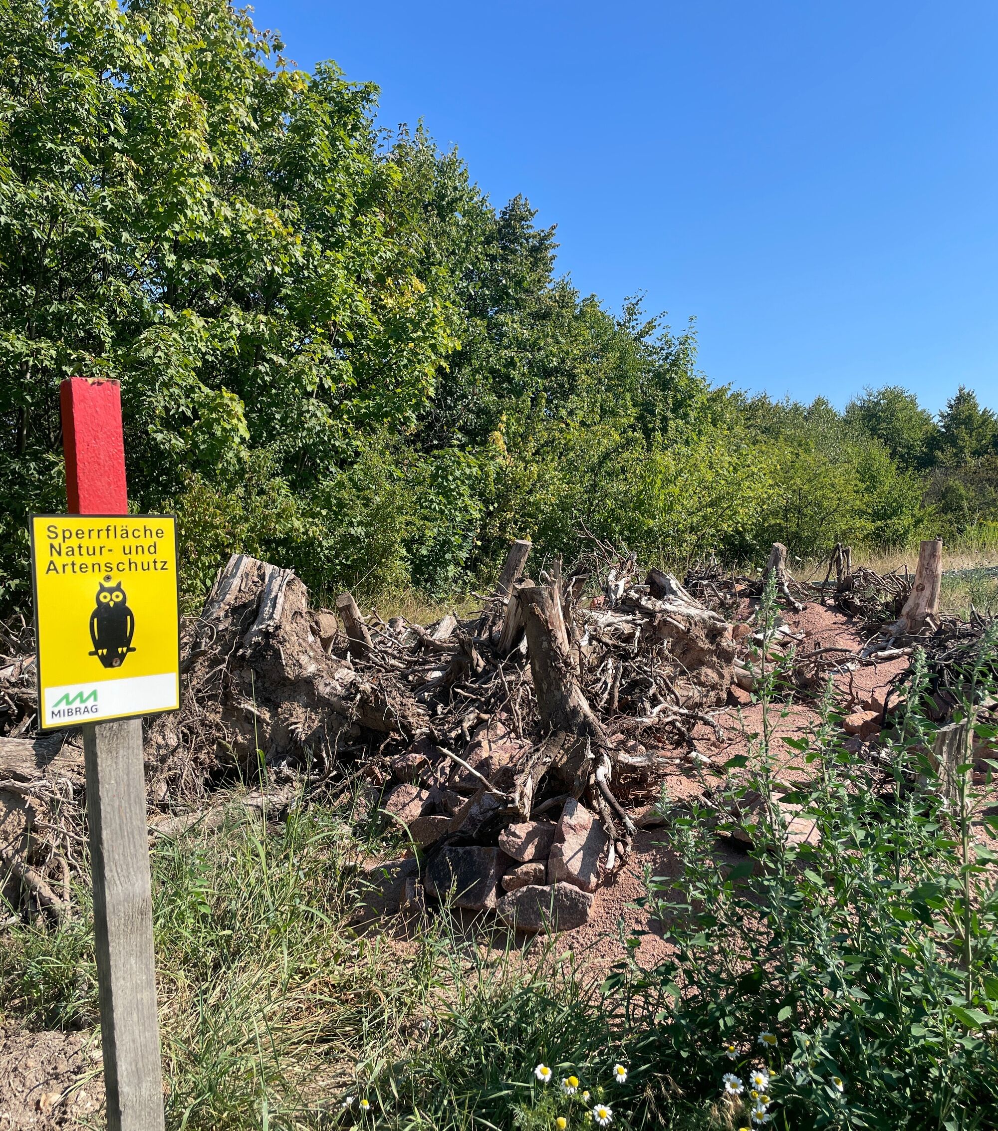 Gro&szlig;e Wurzeln, Ge&auml;st und Steine. Daneben ein gelbes Schild mit der Aufschrift "Sperrfl&auml;che, Natur- und Artenschutz"