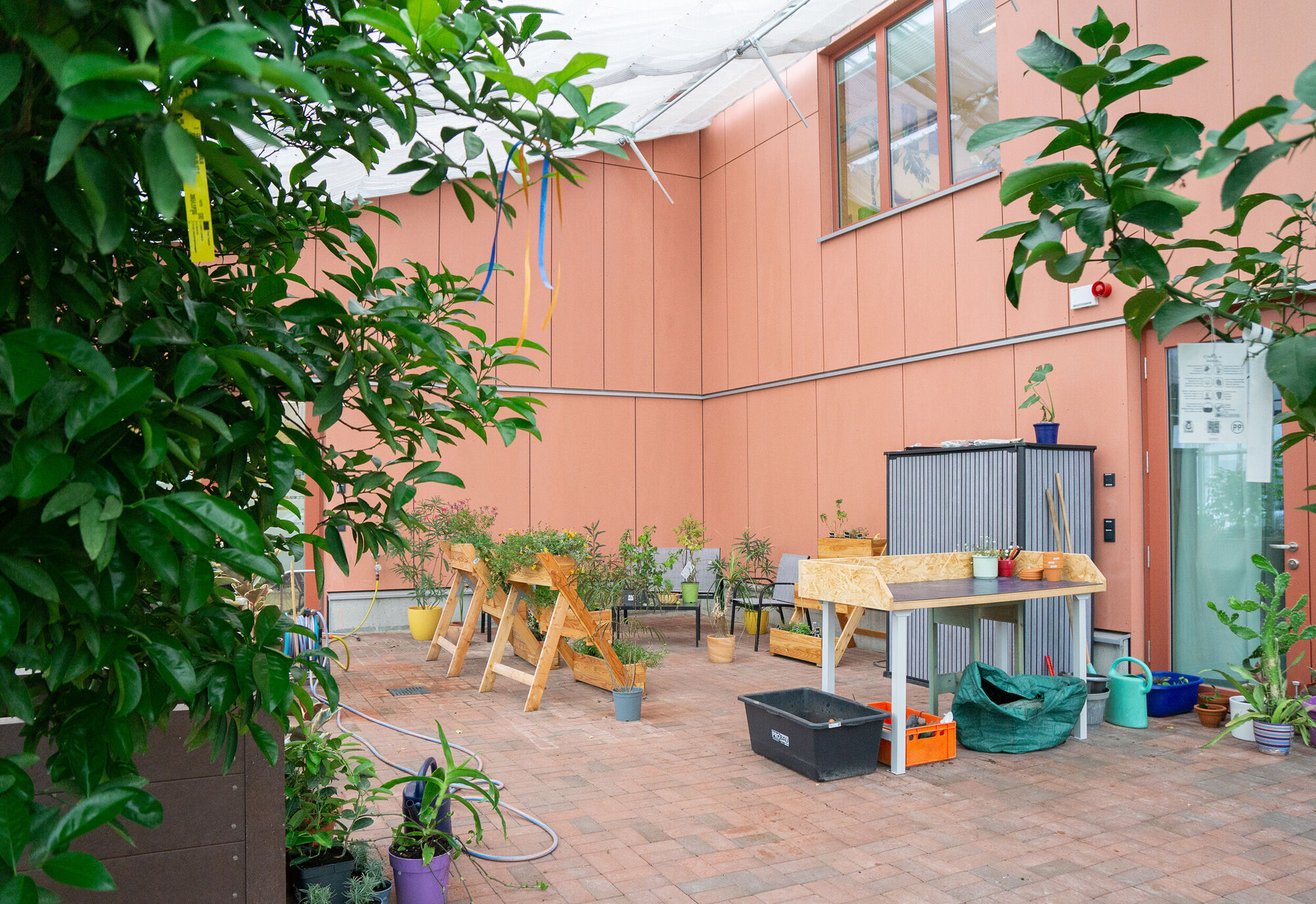 Ein großes, an das roten Hauptgebäude angebaute Gewächshaus mit Pflanzen und Pflanztischen