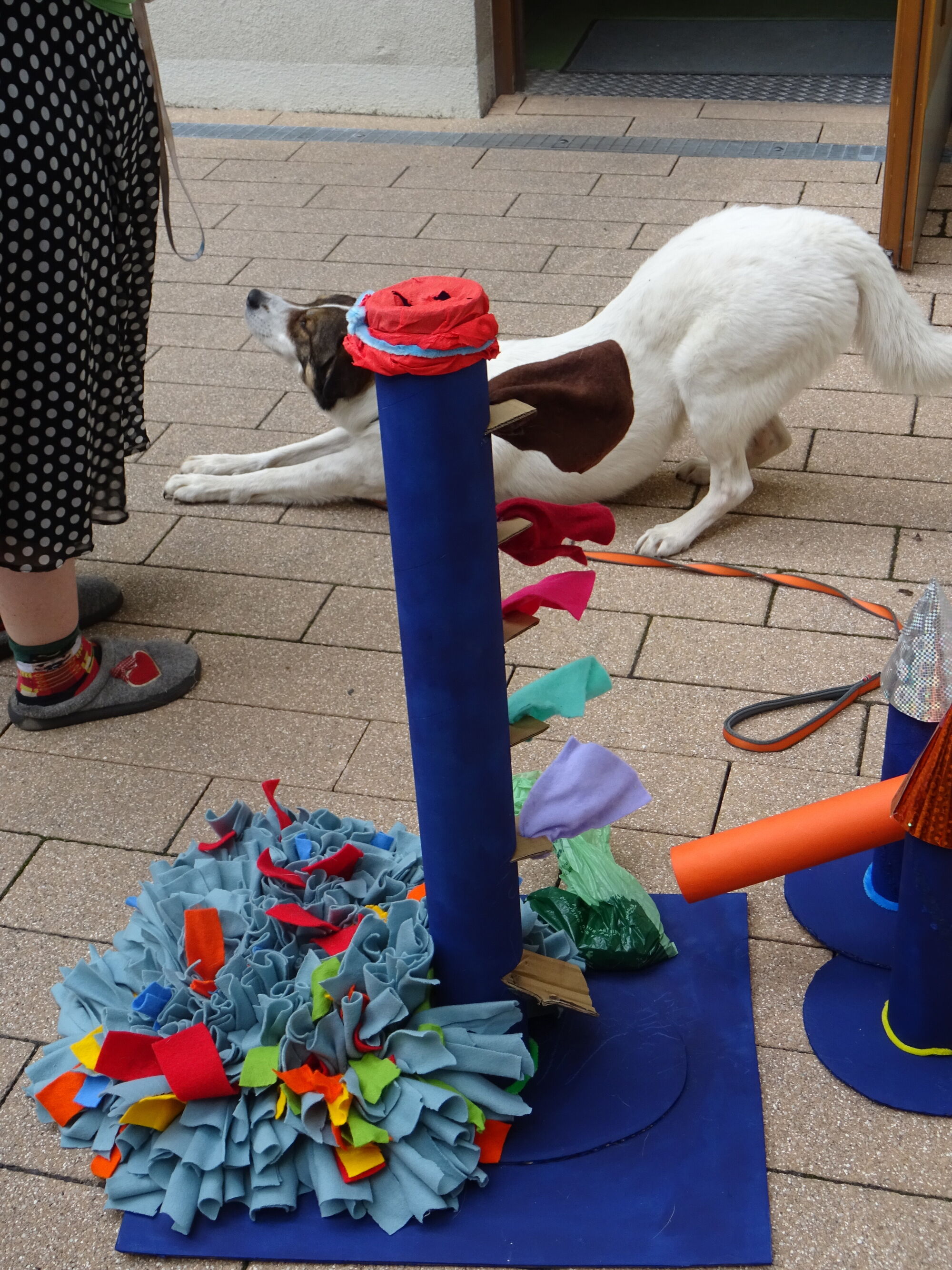 © SEB Leipzig Ein Hund streckt sich