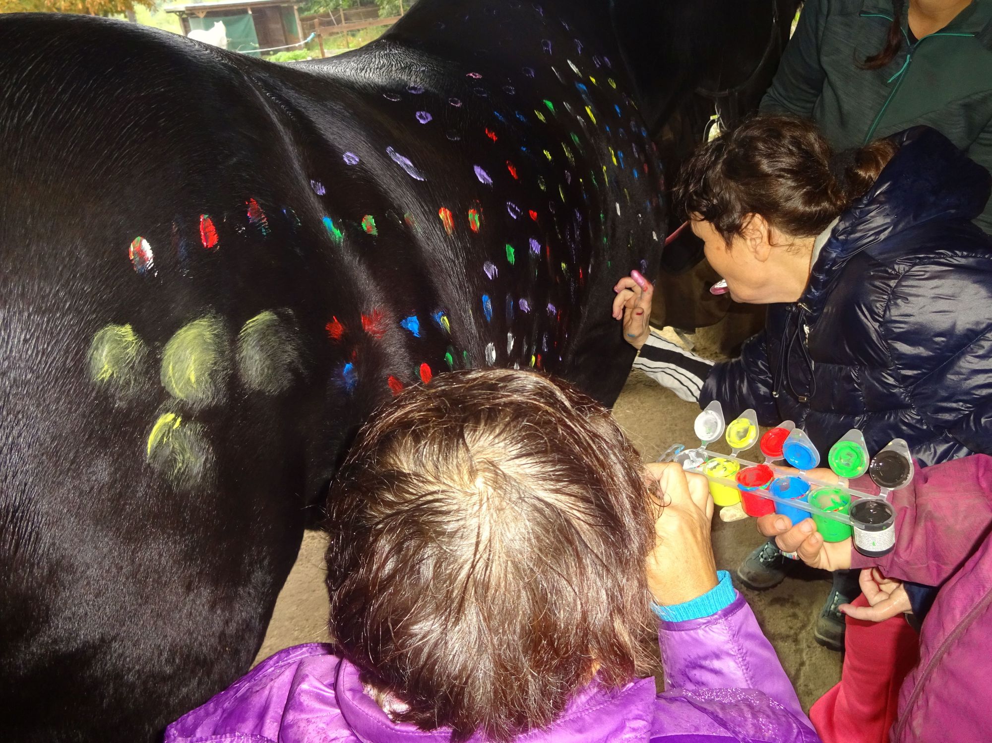 Zwei Menschen malen bunte Kreis mit Wasserfarbe auf ein braunes Pferd.