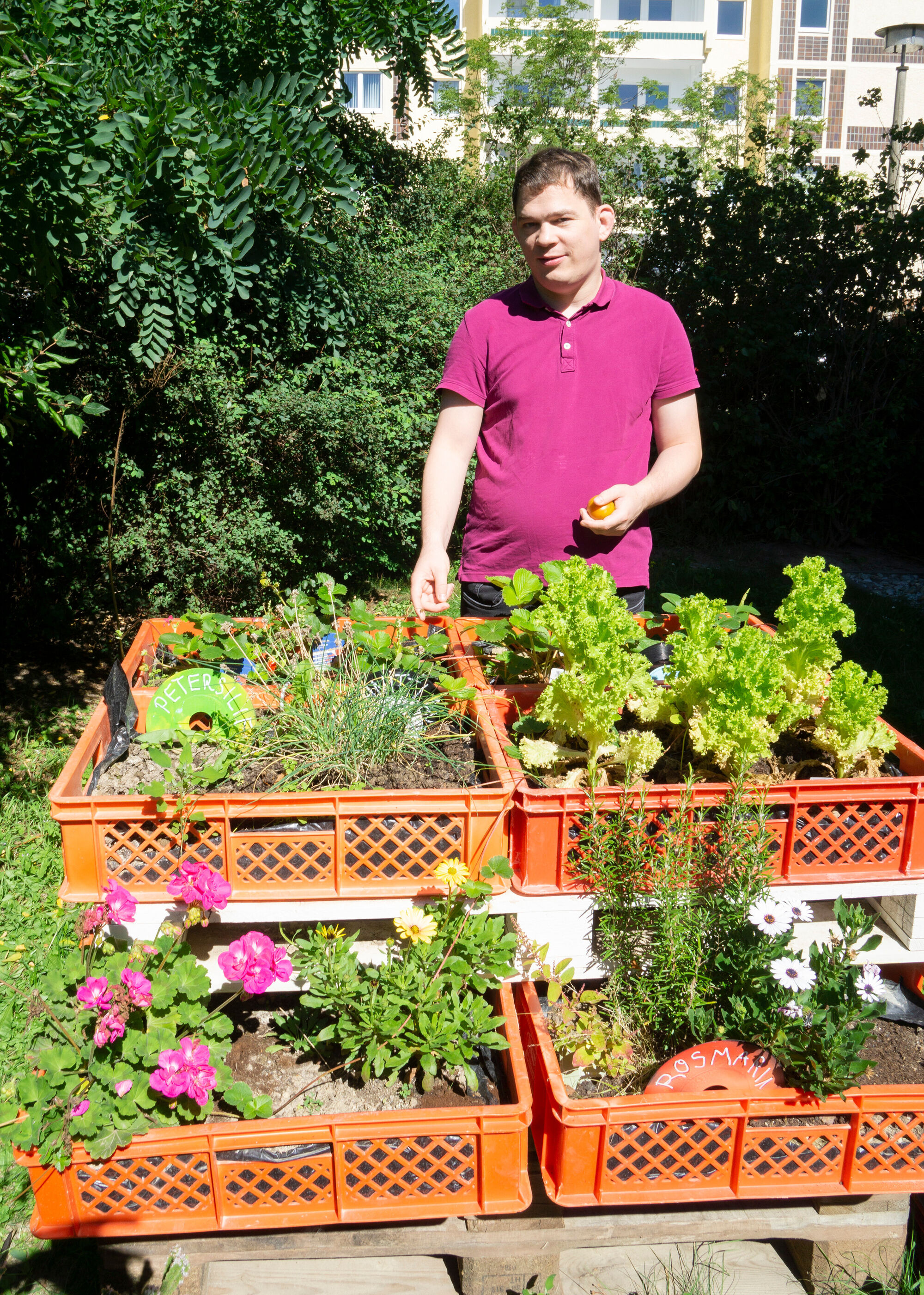 Ein Mann steht vor bepflanzten Kästen mit Gemüse und Kräutern