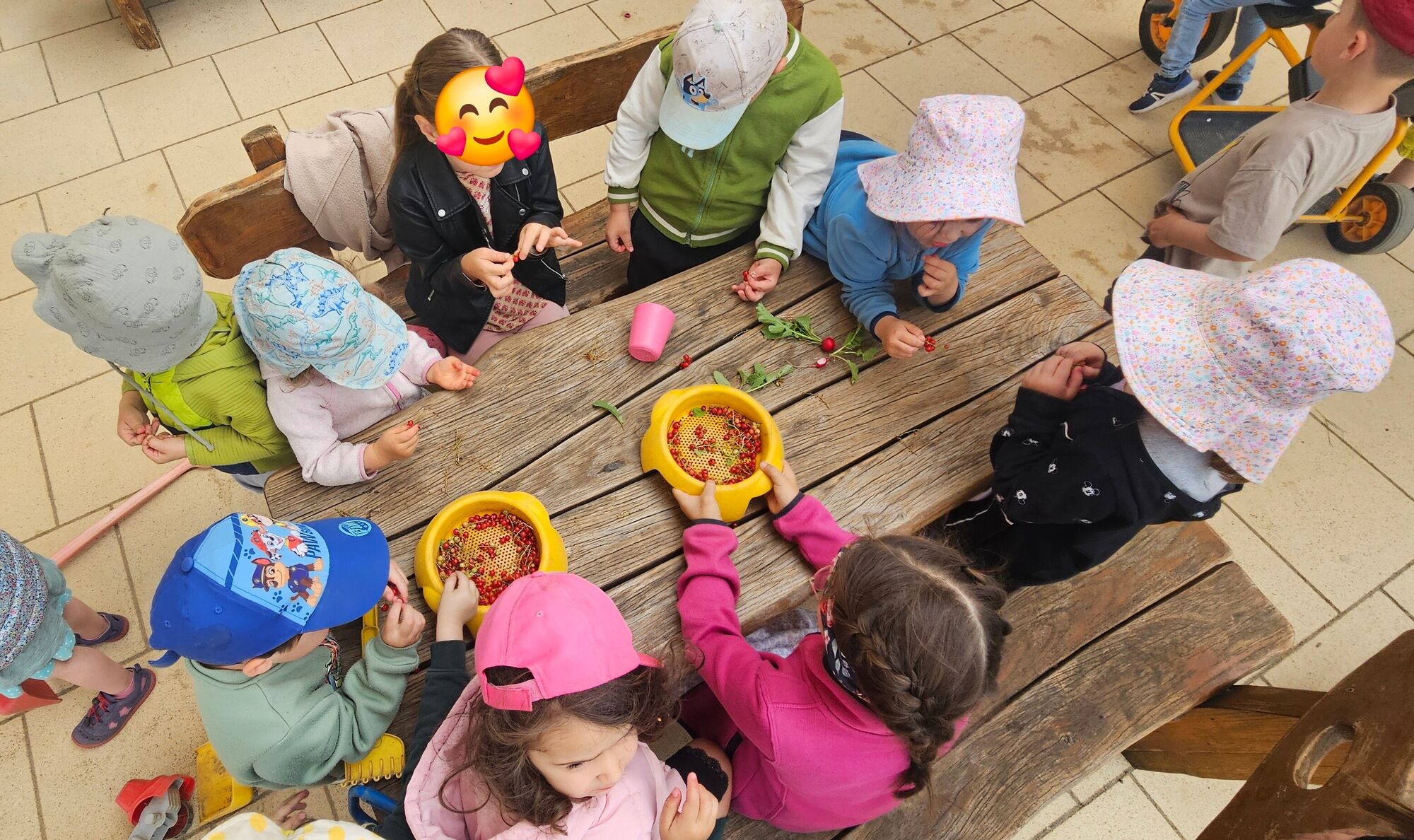 Kinder essen das Geerntete