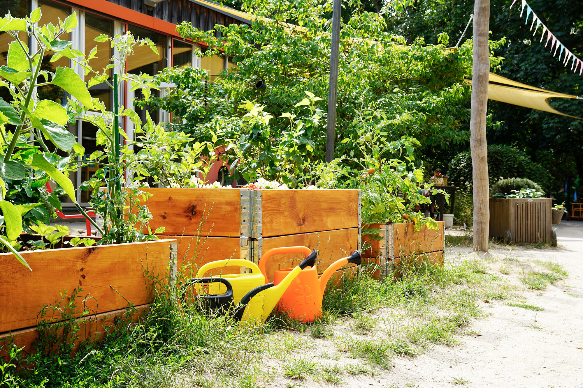 Mehrere bepflanzte Hochbeete stehen nebeneinander, davor stehen bunte Gießkannen.