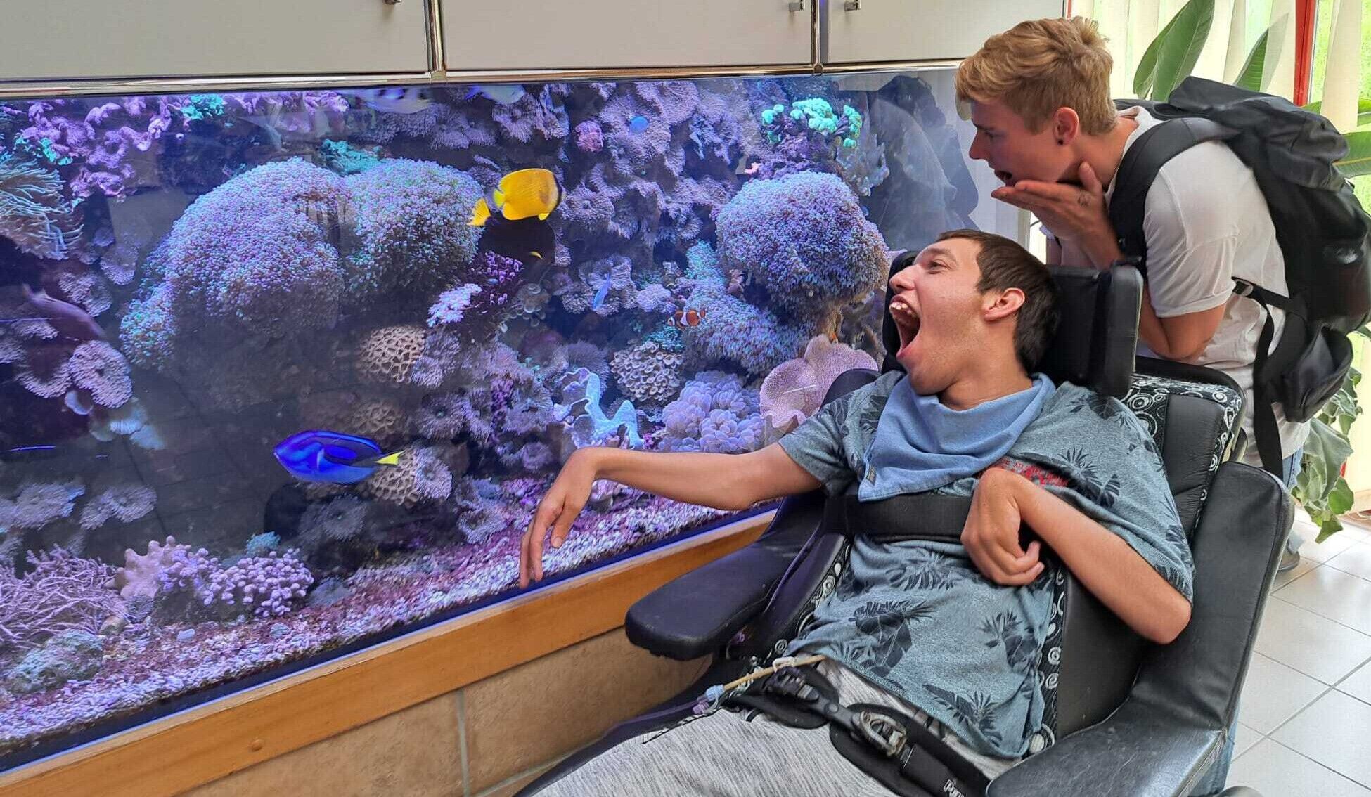 © SEB Leipzig Ein Mann und eine Frau schauen sich ein Aquarium mit Fischen und Korallen an.