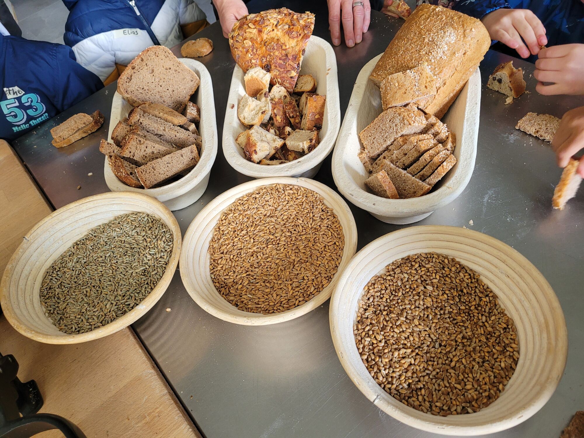 © SEB Leipzig Getreidesorten und das damit gebackene Brot liegen auf einem Tisch