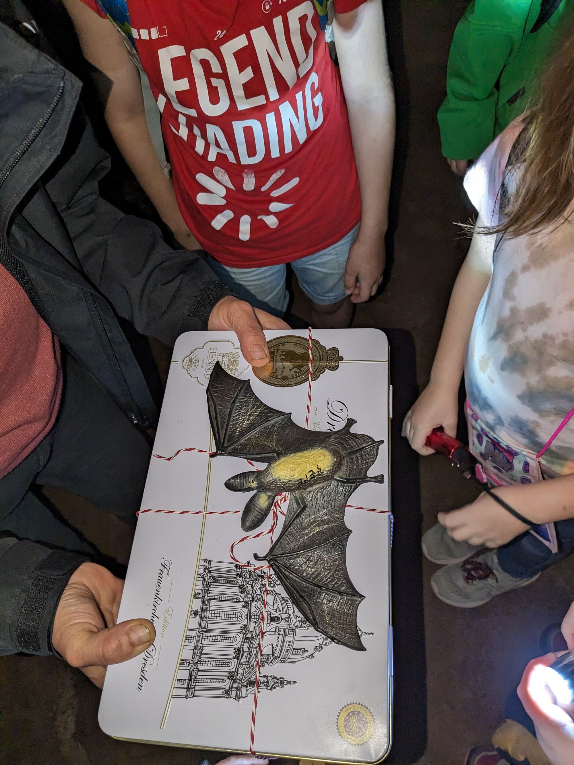 © SEB Leipzig Kinder halten eine Schachtel mit einer Fledermaus darauf in der Hand