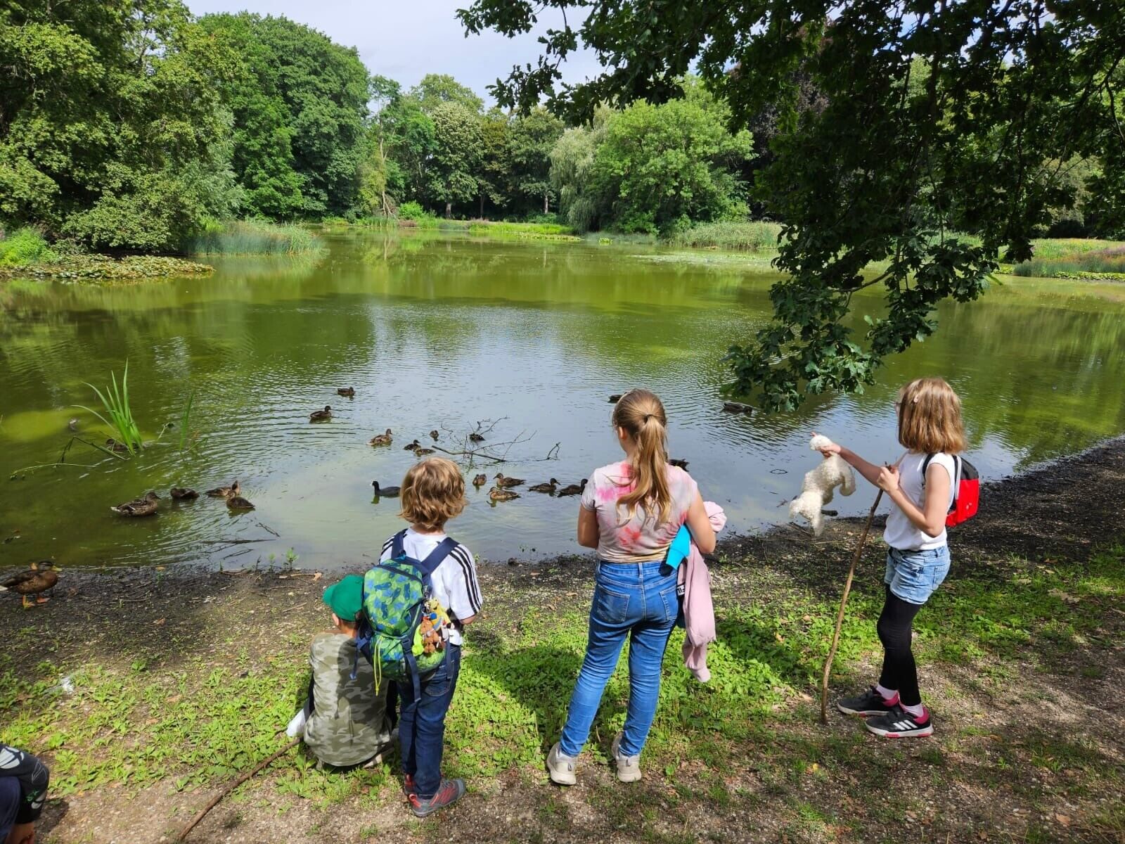 © SEB Leipzig Kinder stehen im Park und schauen auf einen See mit Enten