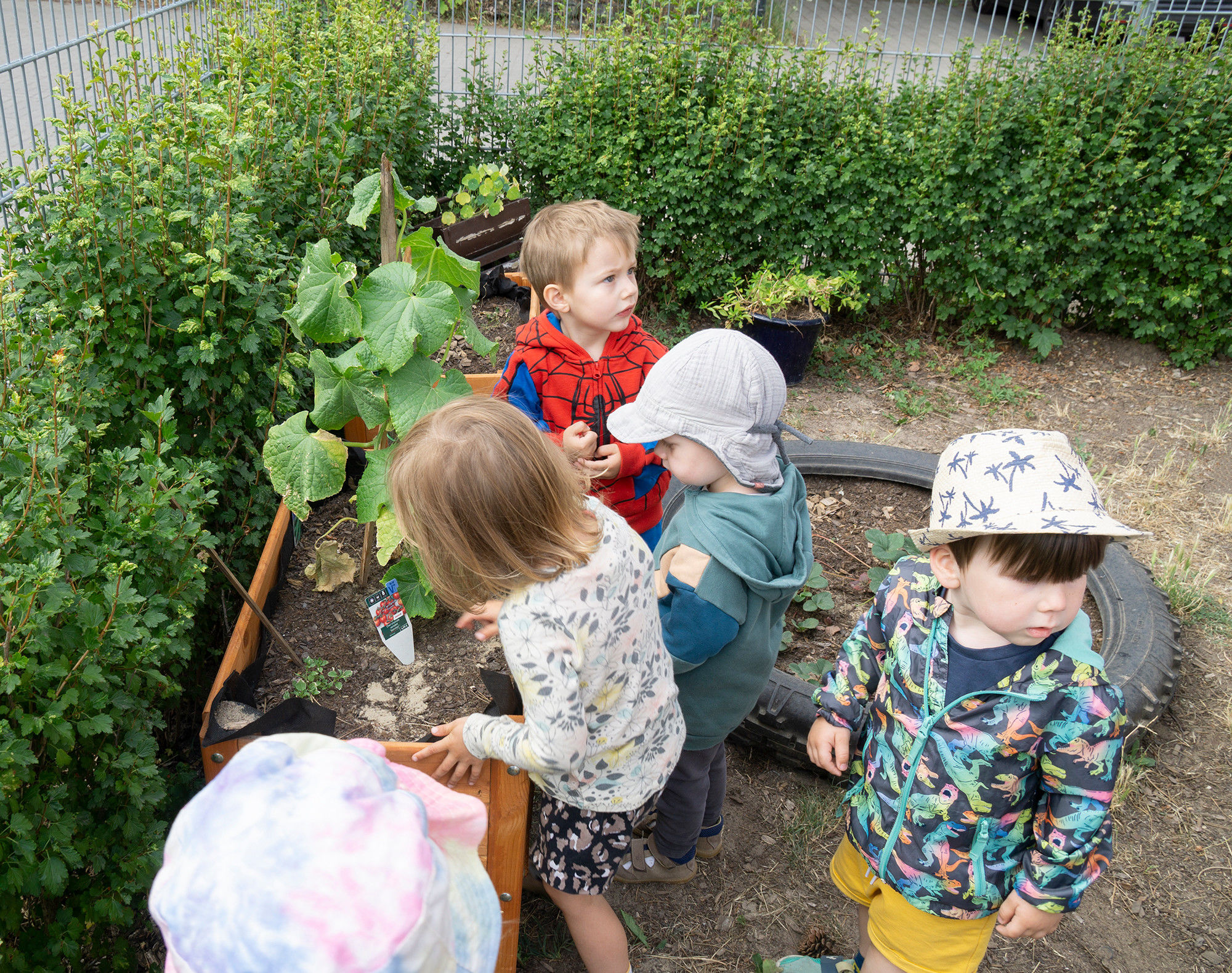 Kinder stehen vor bepflanzten Hochbeeten.