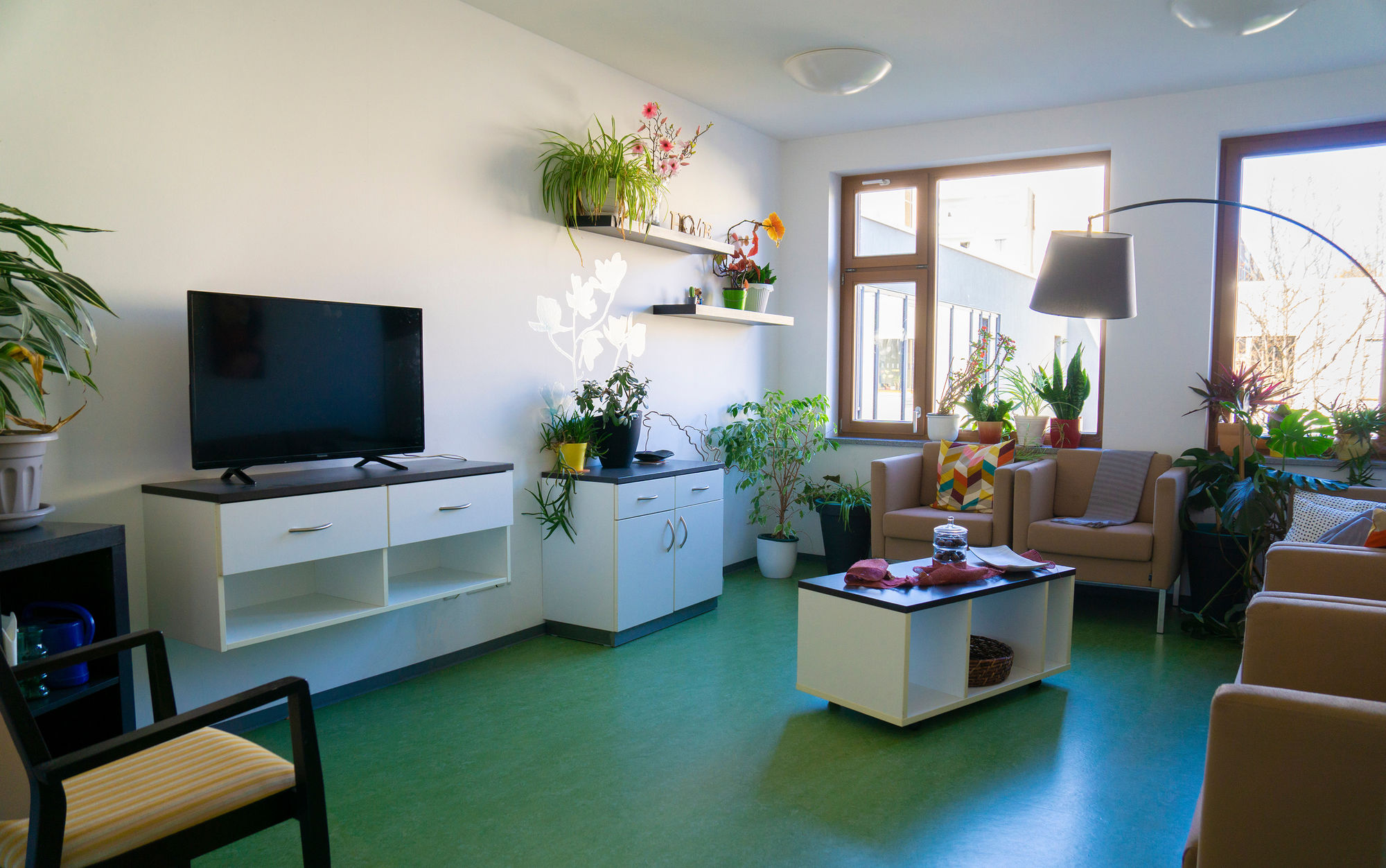 Ein gemeinschaftsbereich mit Sesseln und Sofa, einem Fernseher, Schränken und Pflanzen.