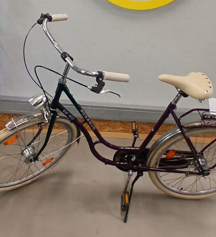 lila/gr&uuml;nes 26 Zoll Damenfahrrad