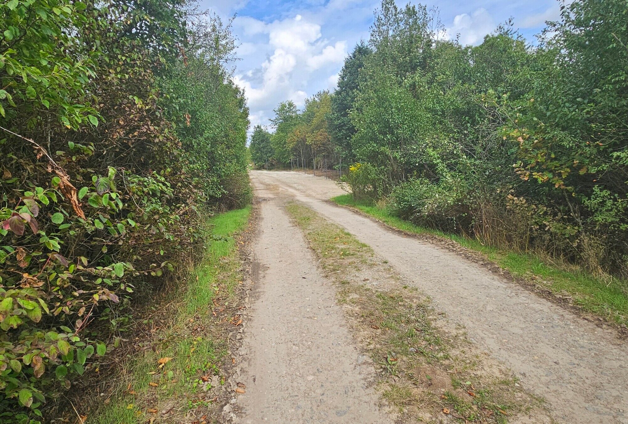 ein Schotterweg mit einer Ausweichtasche