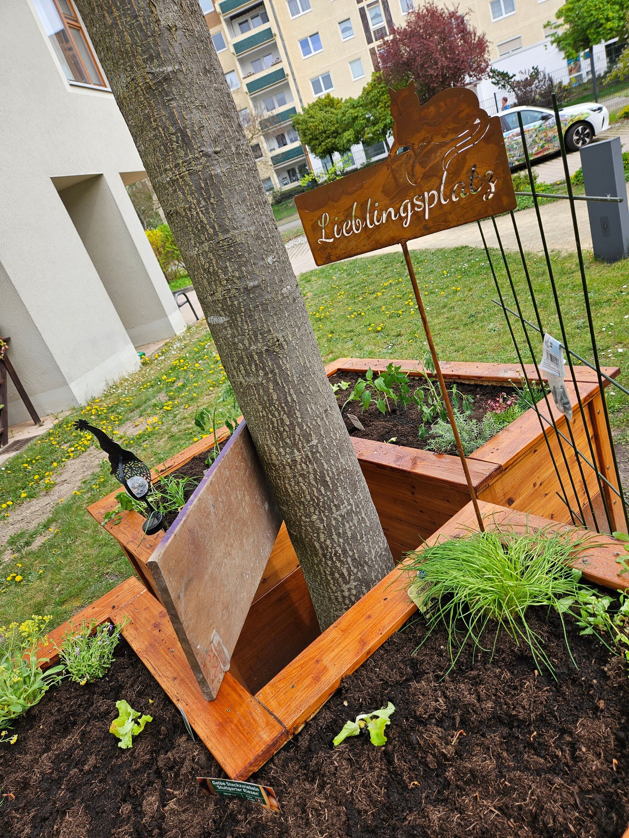 © SEB Leipzig In den Hochbeeten steht ein weiteres Schild mit der Aufschrift "Lieblingsplatz"