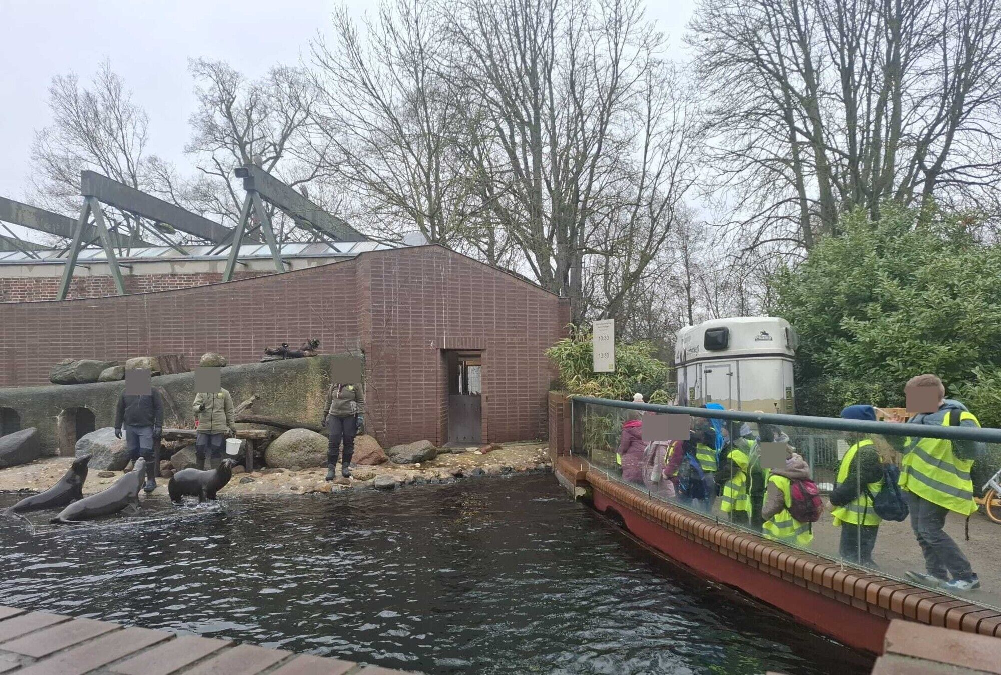 Seel&ouml;wen am Wasser. Kinder stehen am Zaun und beobachten.