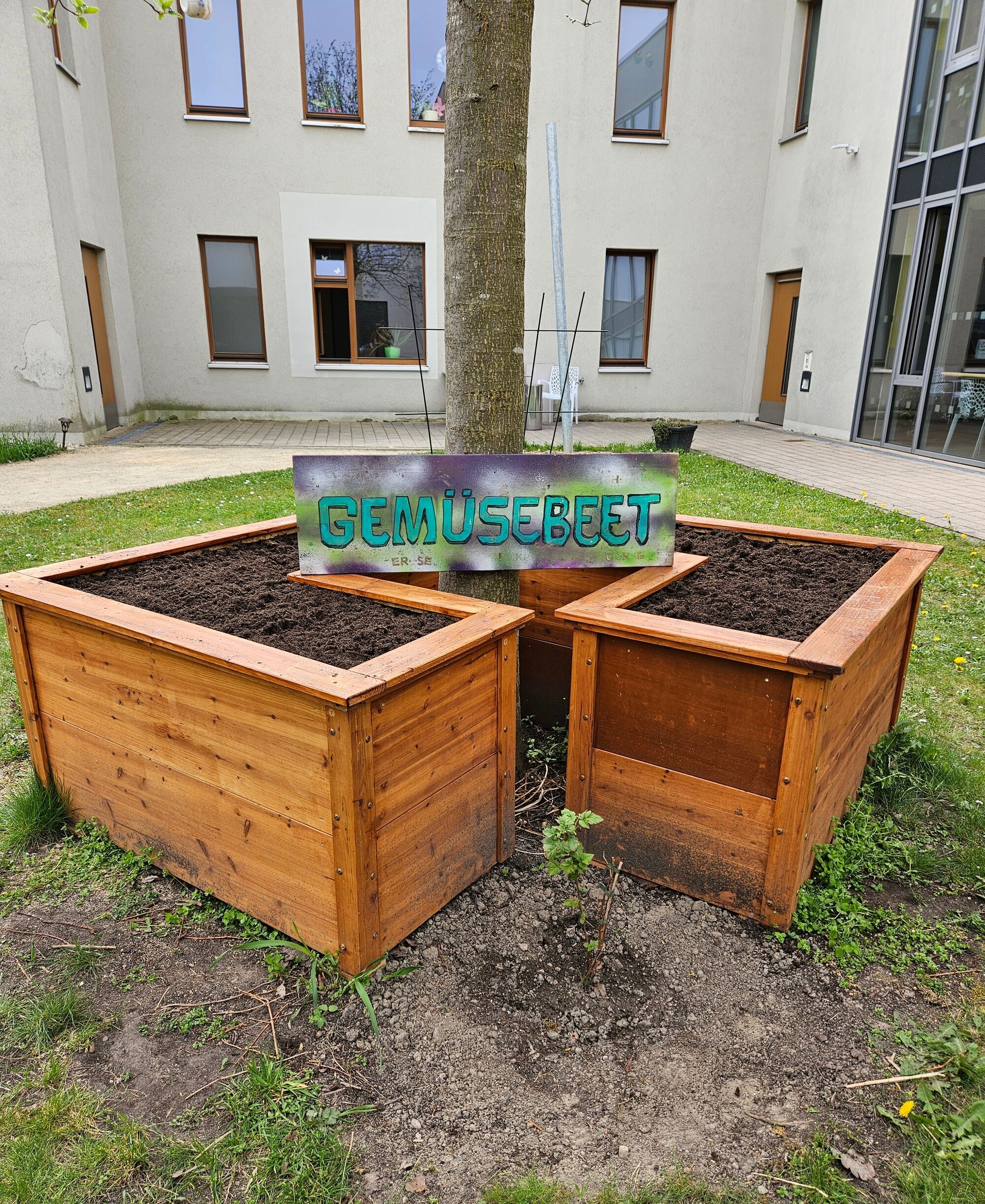 © SEB Leipzig Hochbeete aus Holz, befüllt mit Erde stehen unter einem Baum. Darauf ein Schild mit der Aufschrift "Gemüsebeet"