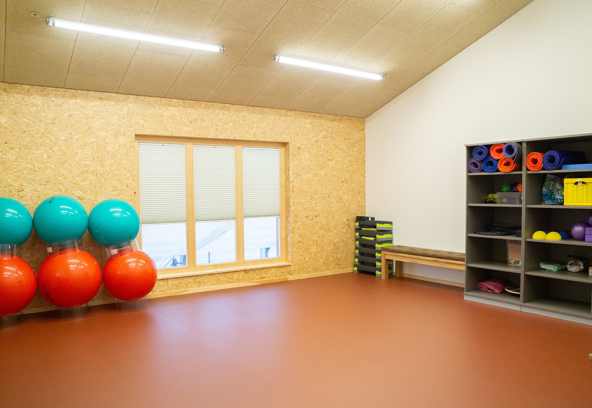 ein großer heller Raum mit Sportutensilien und Gymnastikbällen