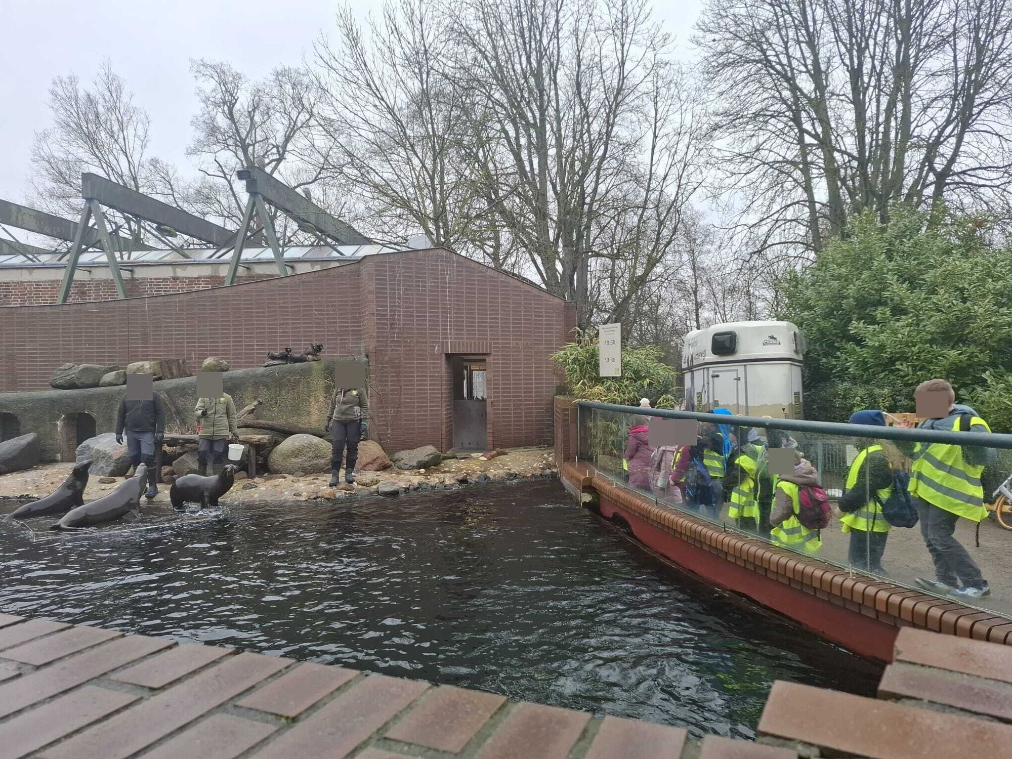 Seel&ouml;wen am Wasser. Am Zaun stehen Kinder.